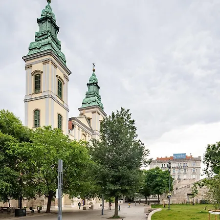 Extra - Large - Cozy