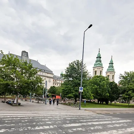 Extra - Large - Cozy *