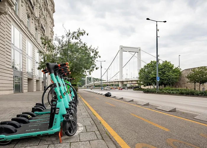 Extra - Large - Cozy Apartment