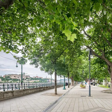 Extra - Large - Cozy Lejlighed *