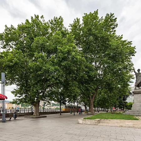 Extra - Large - Cozy *