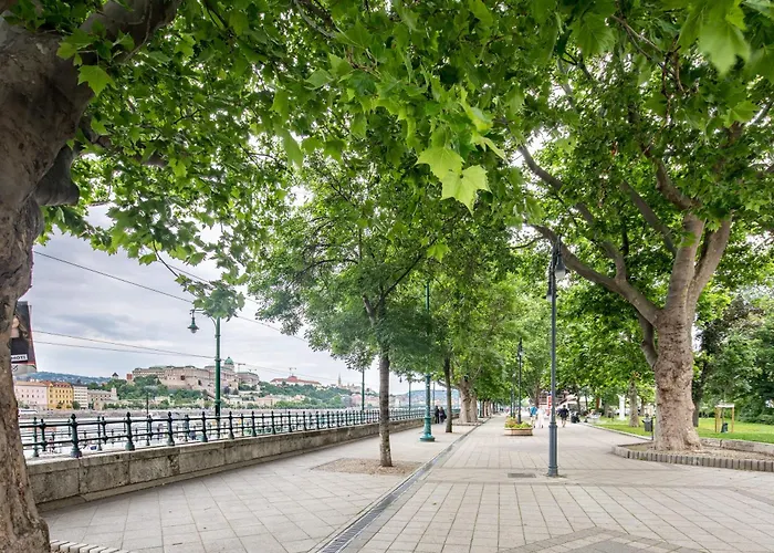 Extra - Large - Cozy 公寓 *