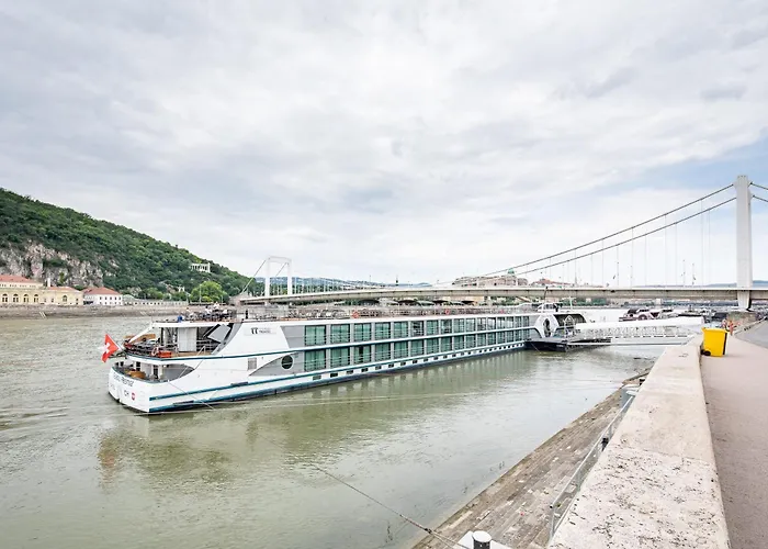 公寓 Extra - Large - Cozy *