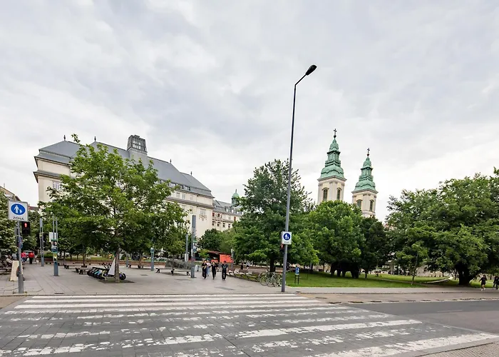 Extra - Large - Cozy *